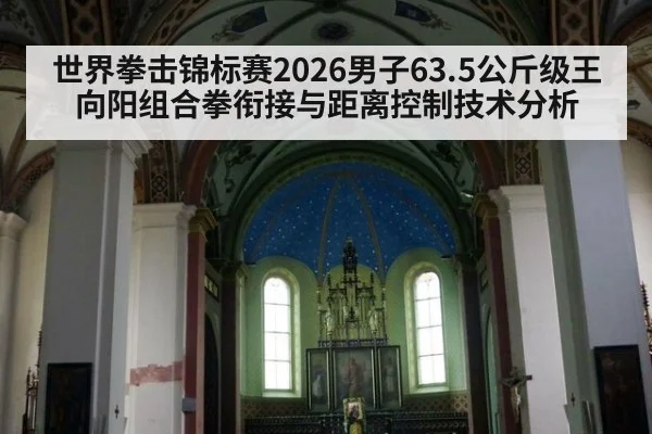 世界拳击锦标赛2026男子63.5公斤级王向阳组合拳衔接与距离控制技术分析